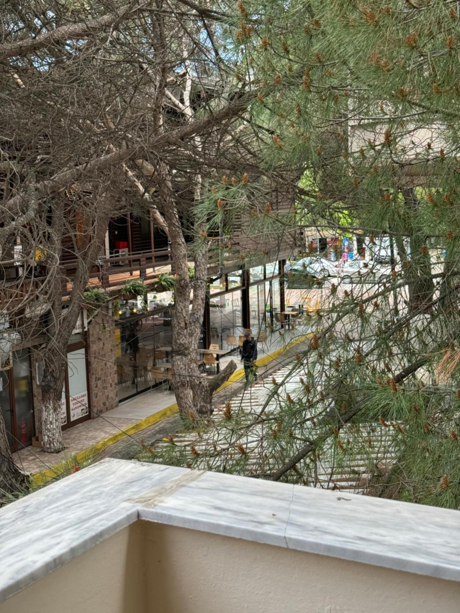 Sea & Gardenview Apartments Dıraç Dış mekan fotoğraf
