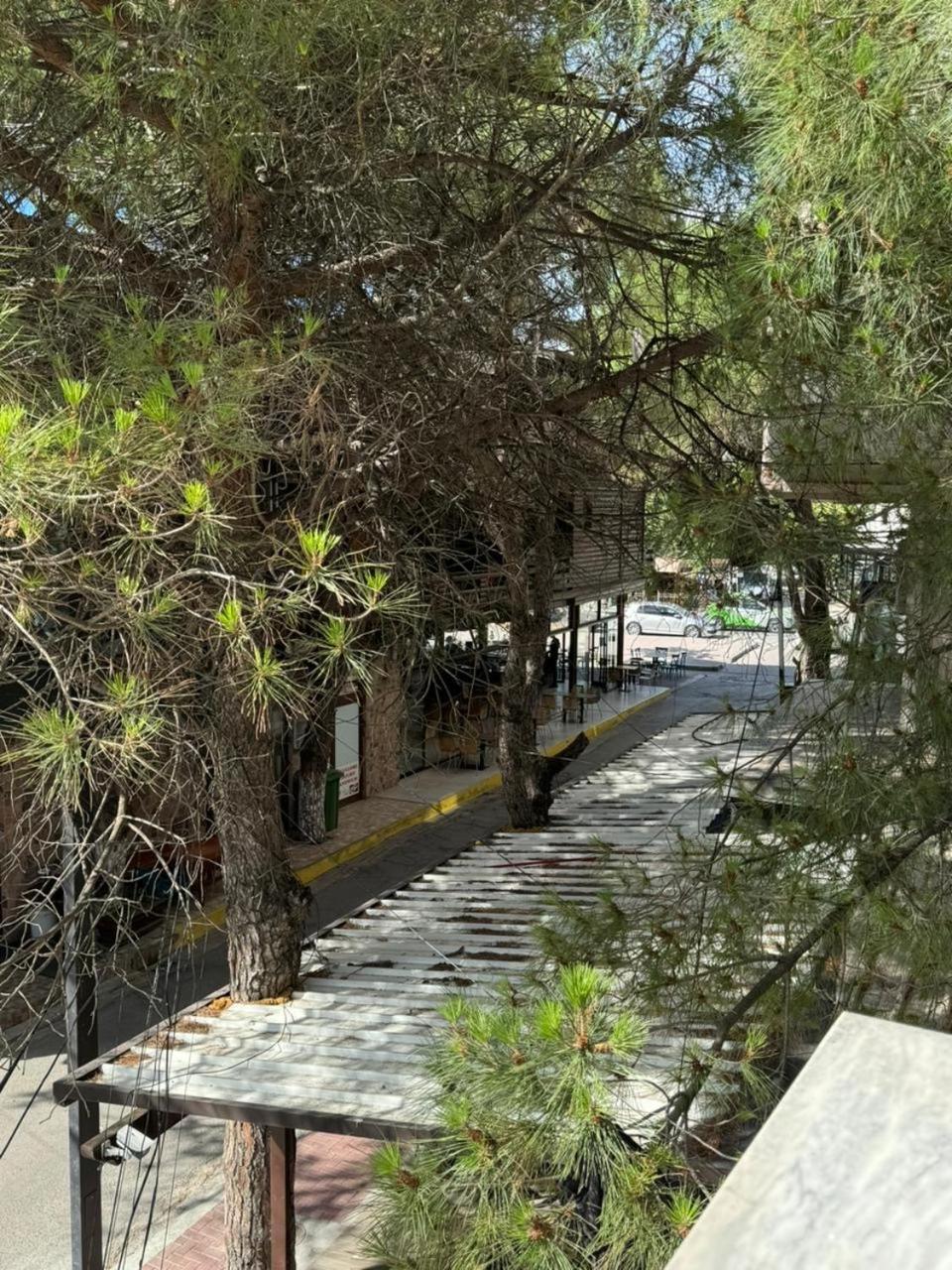 Sea & Gardenview Apartments Dıraç Dış mekan fotoğraf